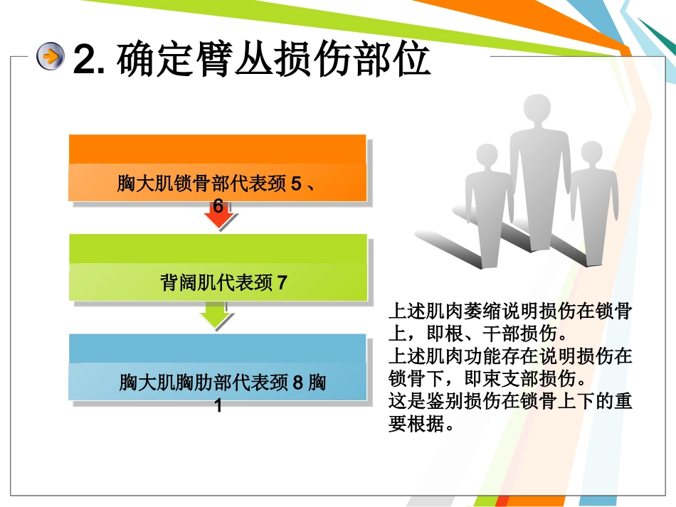 臂丛神经损伤_第3页