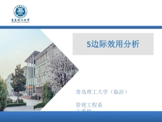 边际效用分析
