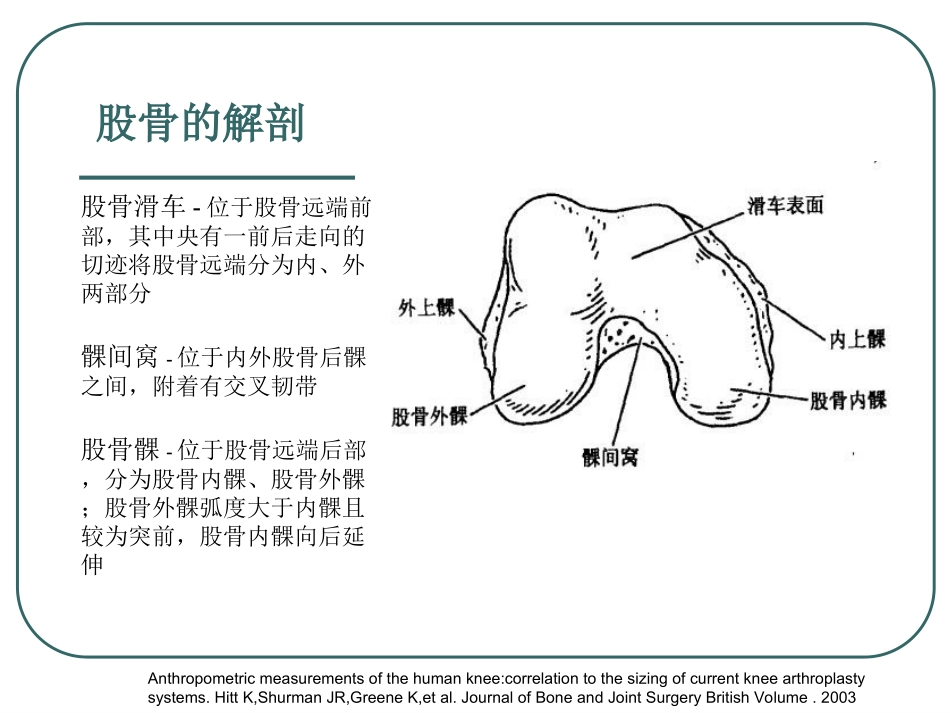 髌股关节生物力学浅_第3页