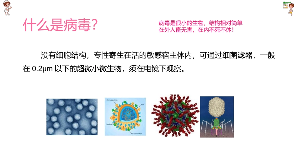 病毒vs新冠病毒Vs感冒的分类_第3页
