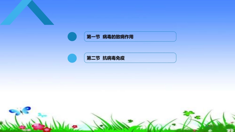 病毒的感染与免疫_第2页