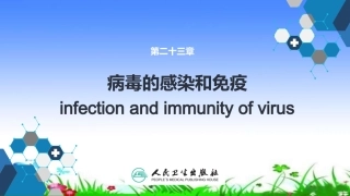 病毒的感染与免疫