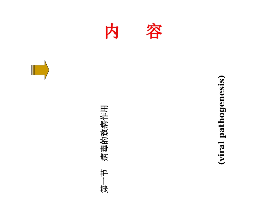 病毒感染与免疫_第2页