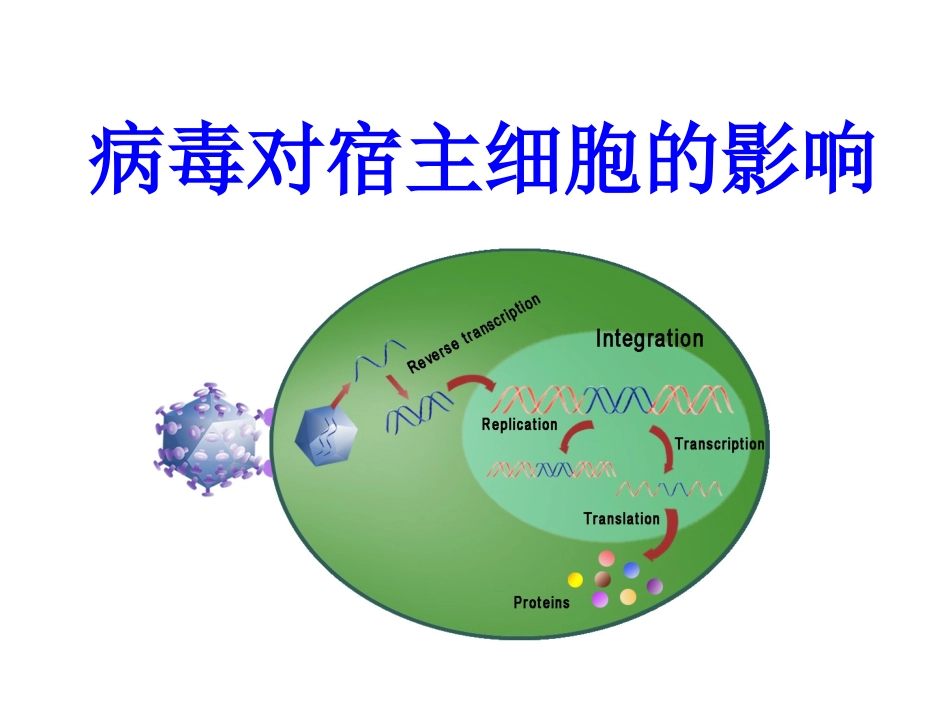 病毒宿主细胞的影响_第1页