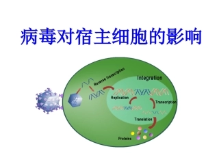 病毒宿主细胞的影响