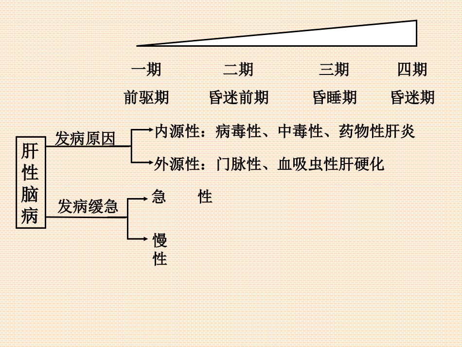 病理生理学肝性脑病_第3页