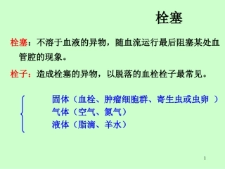 病理学栓塞炎症