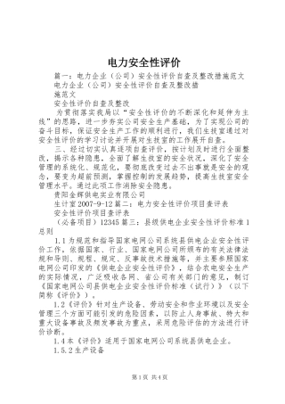 电力安全性评价