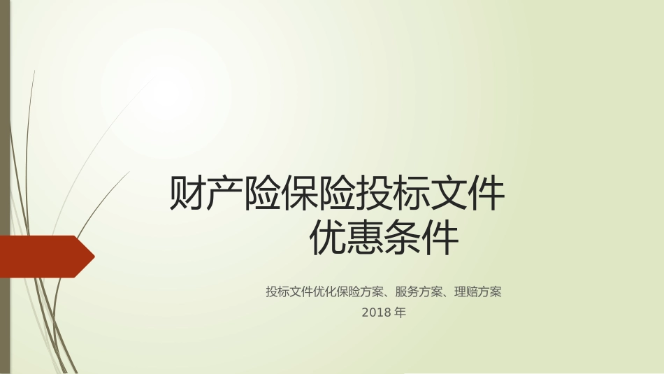 财产保险投标文件保险方案优化_第1页