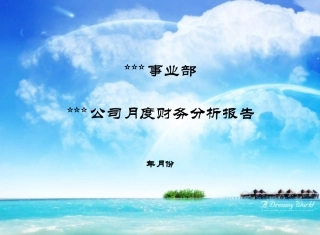 财务分析报告模版PPt
