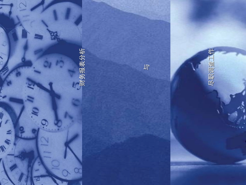 财务分析与尽职调查_第1页