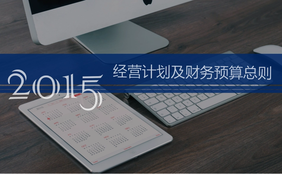 财务经营分析模版_第1页