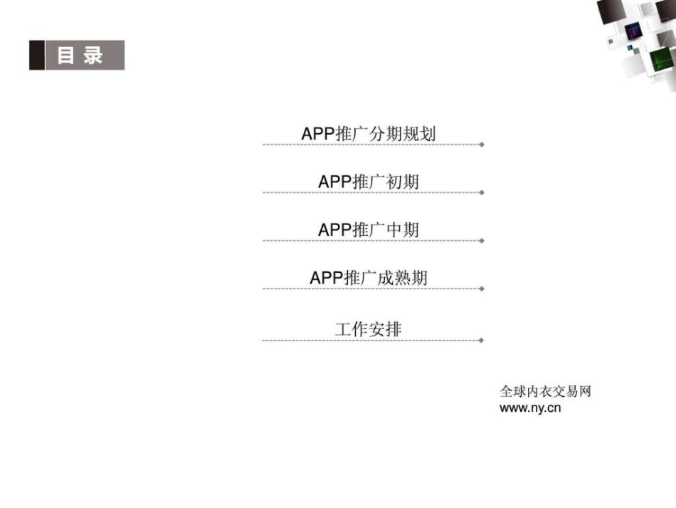 APP推广方案_第2页