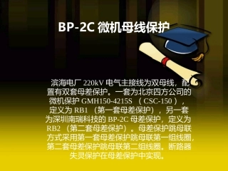 BP-2C母差保护解析