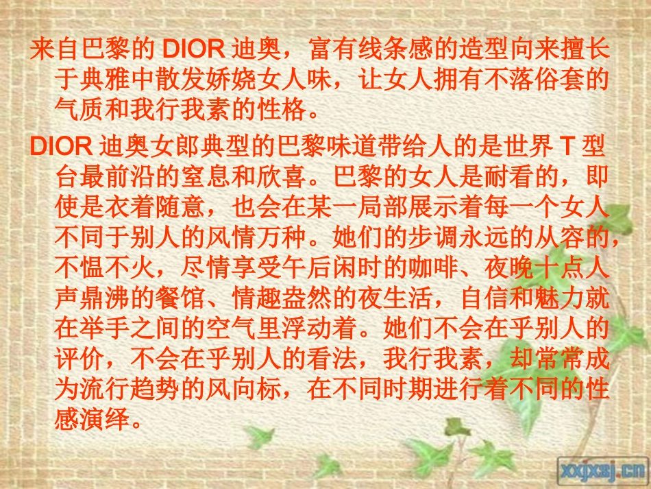 DIOR企业文化_第3页