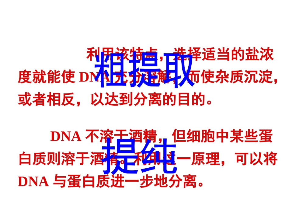 DNA粗提取解读_第3页