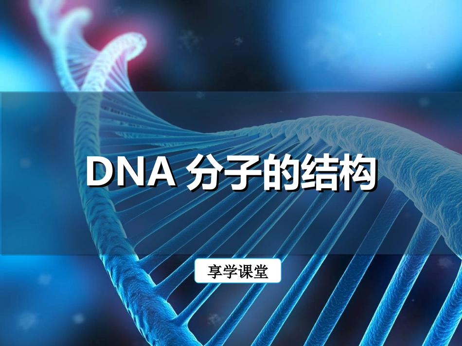 DNA分子的结构_第1页