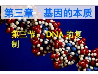 DNA复制优秀