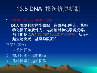 DNA损伤修复机制