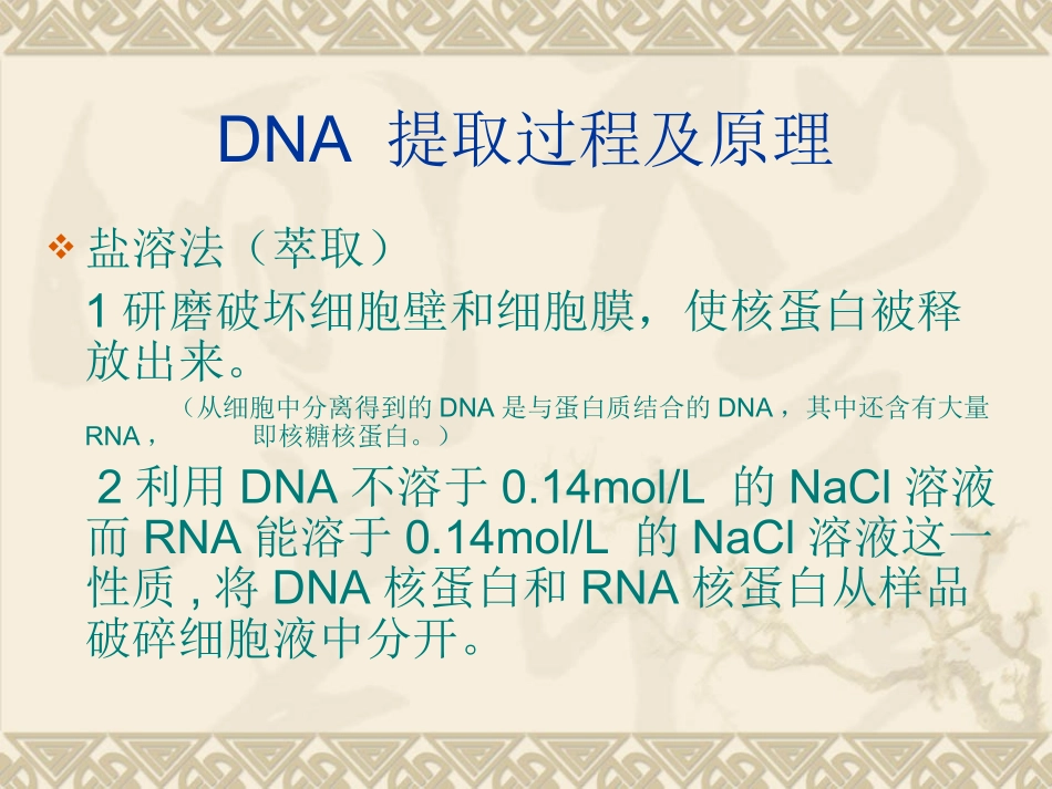 DNA提取过程及原理_第2页
