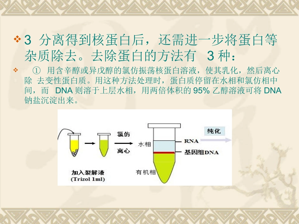 DNA提取过程及原理_第3页