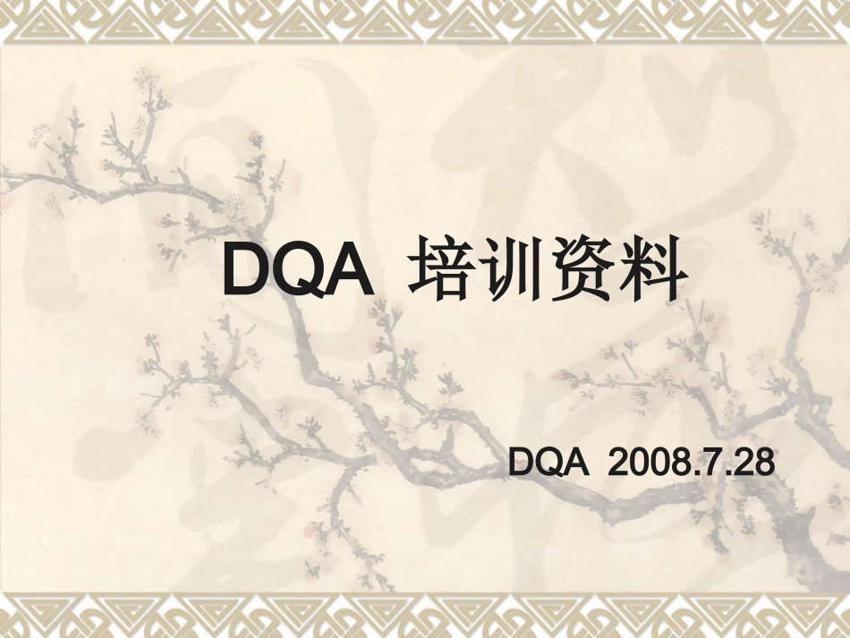 DQA培训资料_第1页