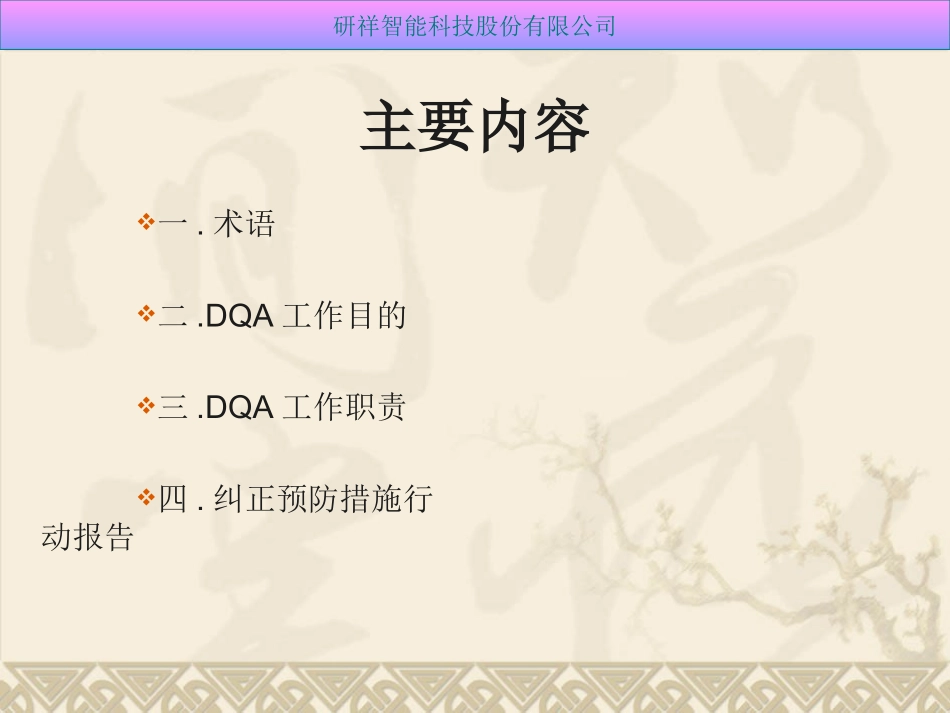 DQA培训资料_第2页