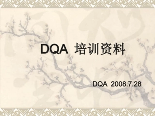DQA培训资料