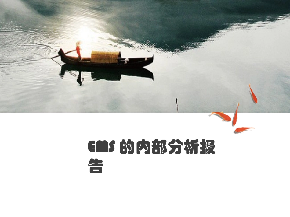 EMS内部分析报告_第1页