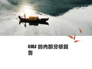 EMS内部分析报告