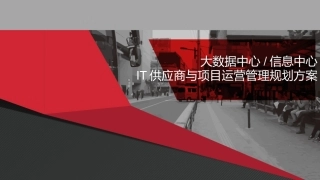 IT项目运营和供应商管理规划方案