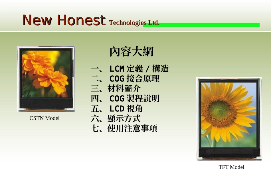 LCM培训资料_第2页