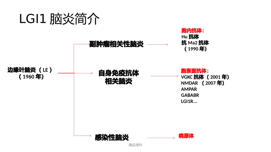 LGI脑炎论述_第3页