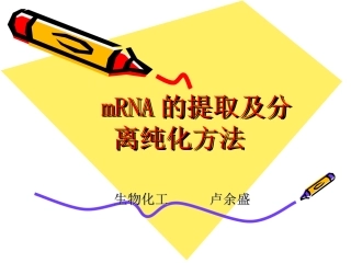 mRNA的分离纯化