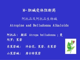 M胆碱受体阻断药
