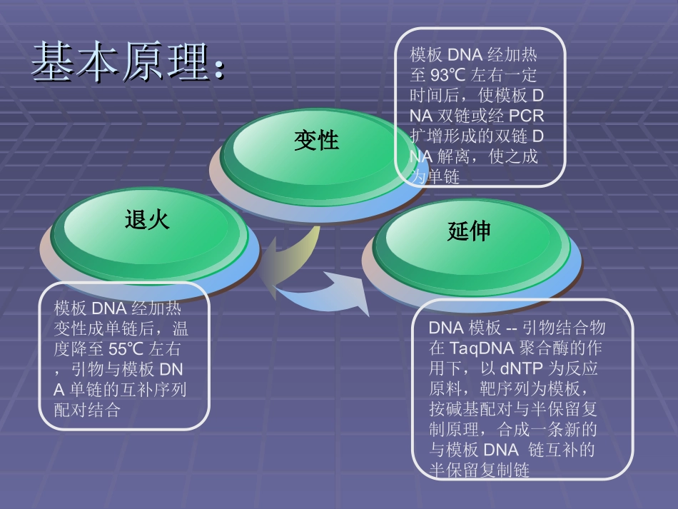 PCR基本原理及注意事项_第3页