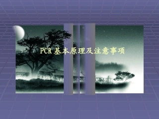 PCR基本原理及注意事项