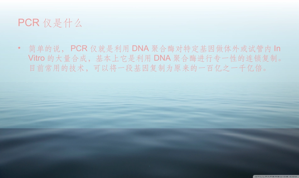 PCR仪的扩增原理_第2页