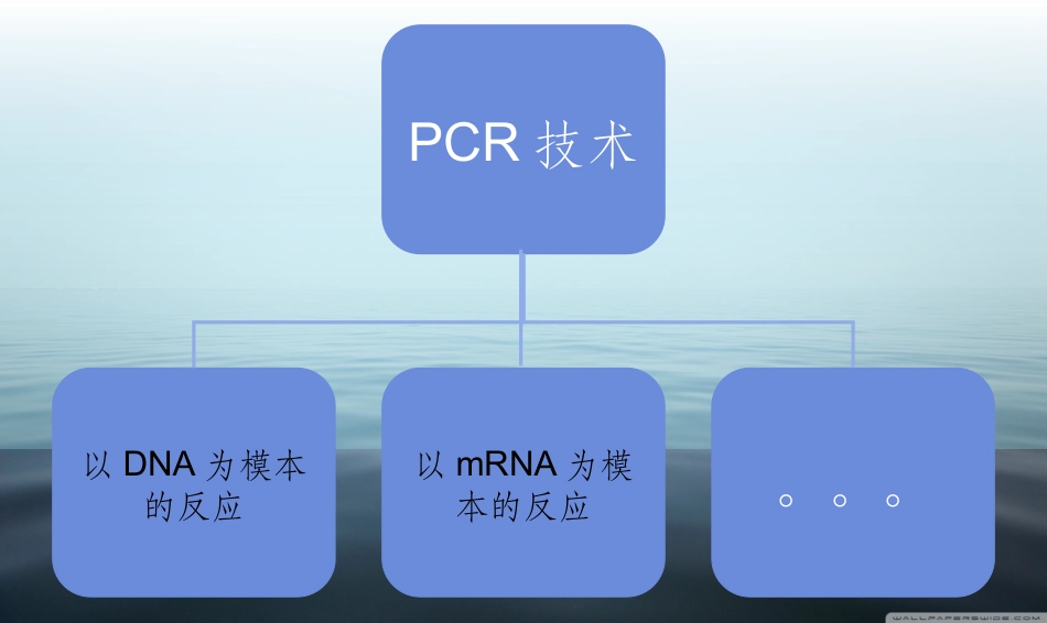 PCR仪的扩增原理_第3页