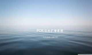 PCR仪的扩增原理