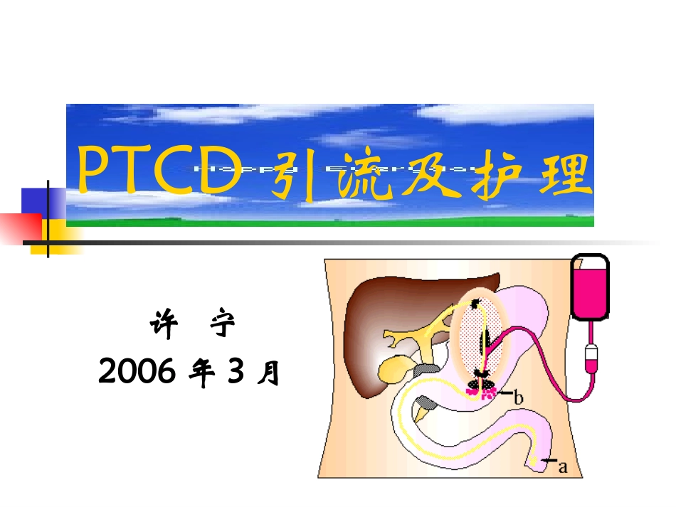 PTCD引流及护理_第1页