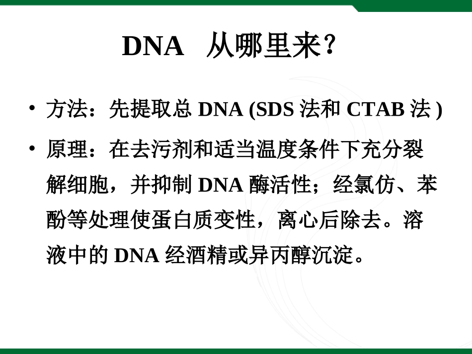 RFLP标记_第2页