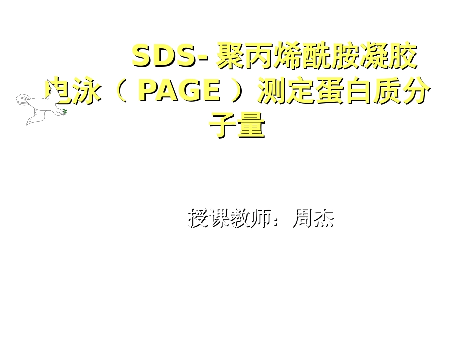 SDS聚丙烯酰胺凝胶电泳PAGE测定蛋白质分子量_第1页