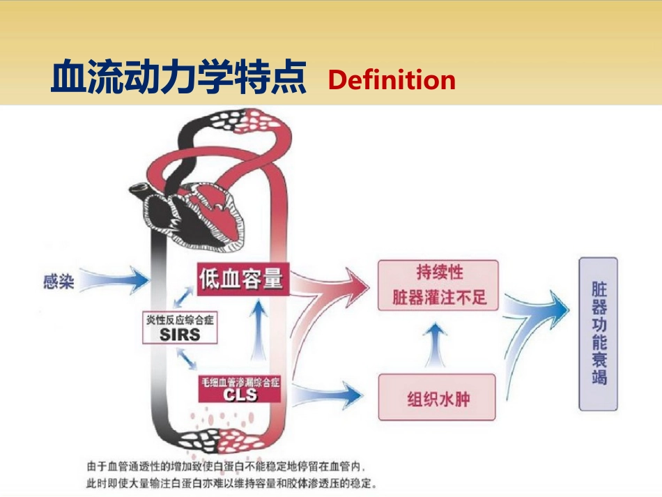 sepsisshock去甲肾上腺素在脓毒性休克中的应用_第3页