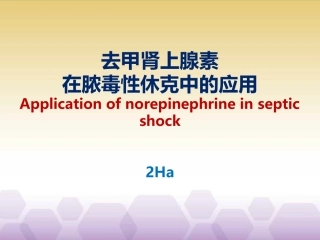 sepsisshock去甲肾上腺素在脓毒性休克中的应用