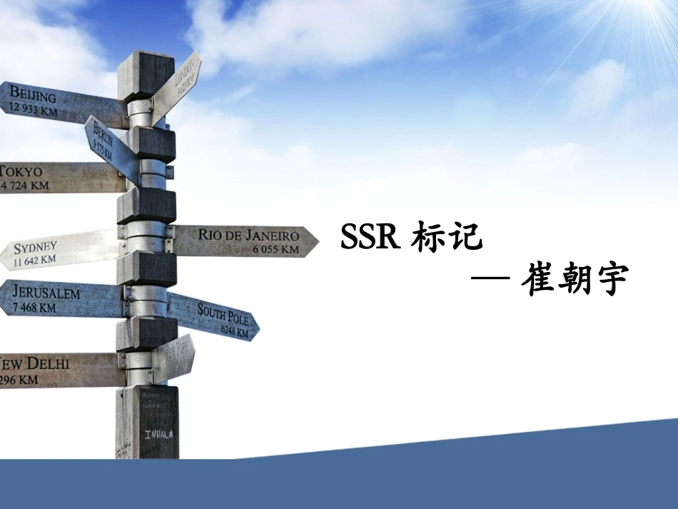 SSR分子标记讲解_第1页