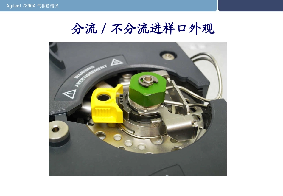 SS进样口分流不分流_第1页