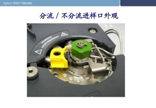 SS进样口分流不分流