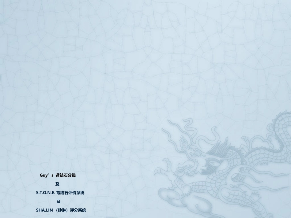 STONE评分系统_第1页