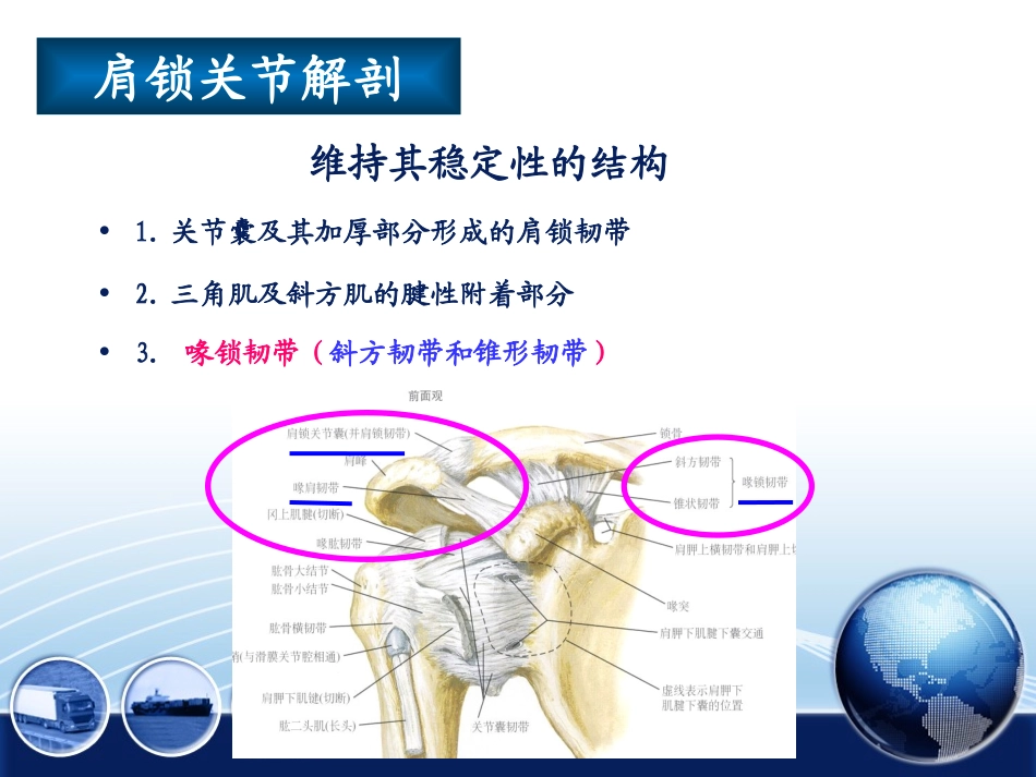 Tightrope固定系统治疗肩锁关节脱位和锁骨远端骨折_第2页